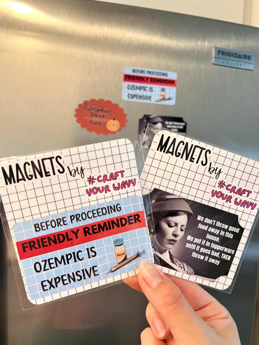 Magnet Funny Household Joke, Funny Fridge Magnets, Sarcastic Gifts, Reminder Magnets, Dirty Santa gift