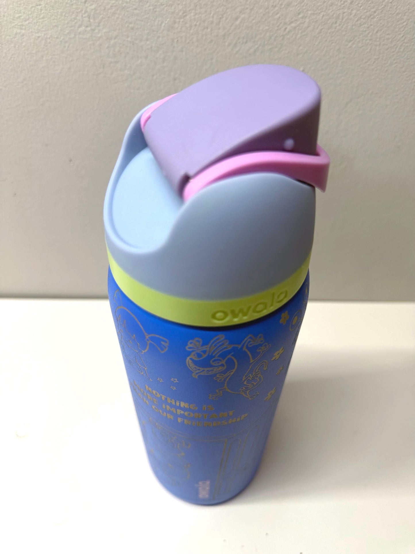 Custom Engraved Owala, Disney Monsters Inc Movie Park Day, Owala Free Sip, Engraved tumbler, Disney Cup Disney gift Mike and Sully and Boo