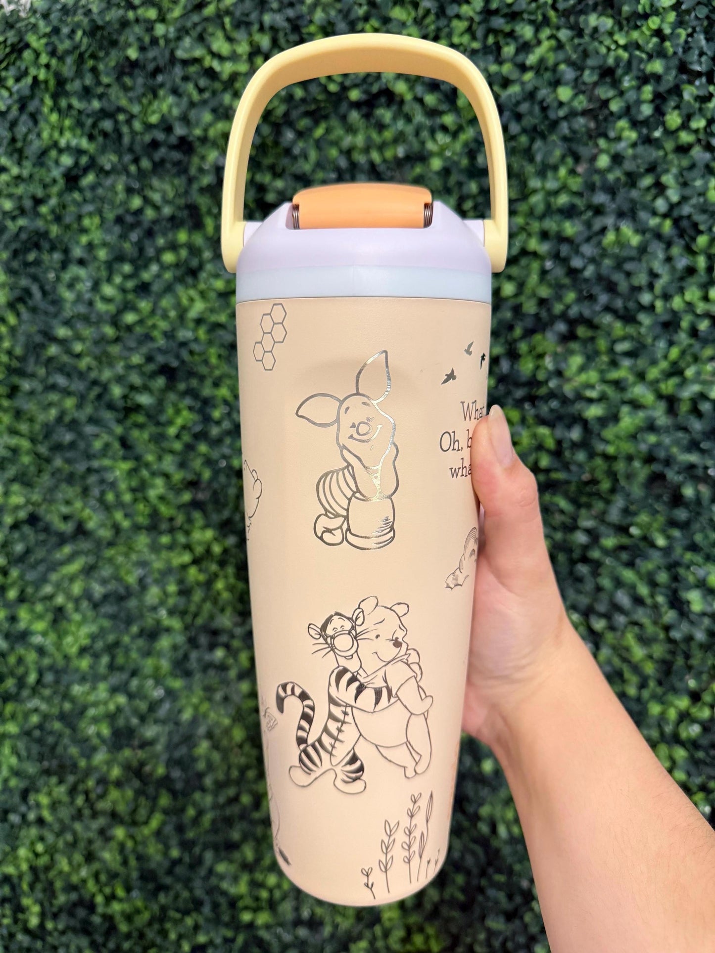 Custom Engraved Owala, Disney Winnie the Pooh, 30oz Free Sip Sway, Laser Engraved, Pooh bear Tumbler, Disney engraved gifts, Pooh & Friends