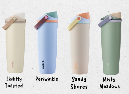 Disney Mashup Characters Engraved Owala Free Sip Sway