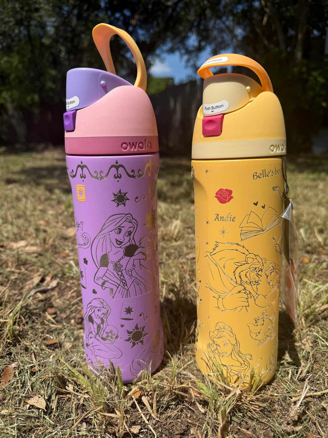 The Magic of the Princess Owala Collection: Rapunzel, Belle & Moana Inspired Engraved Water Bottles