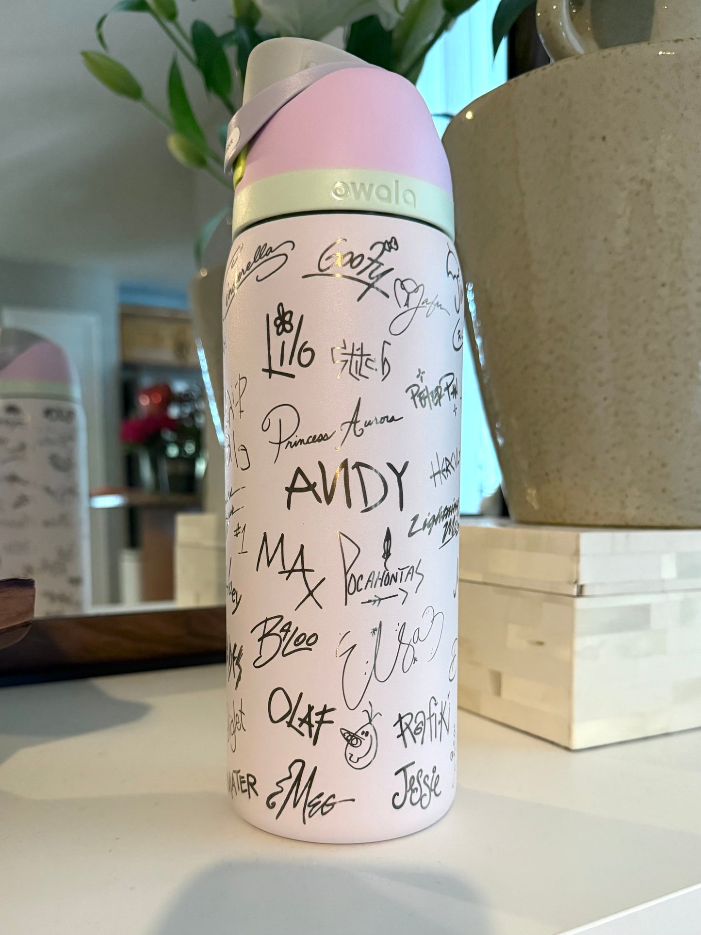Disney Autographs All Pals Owala Engraved Free Sip