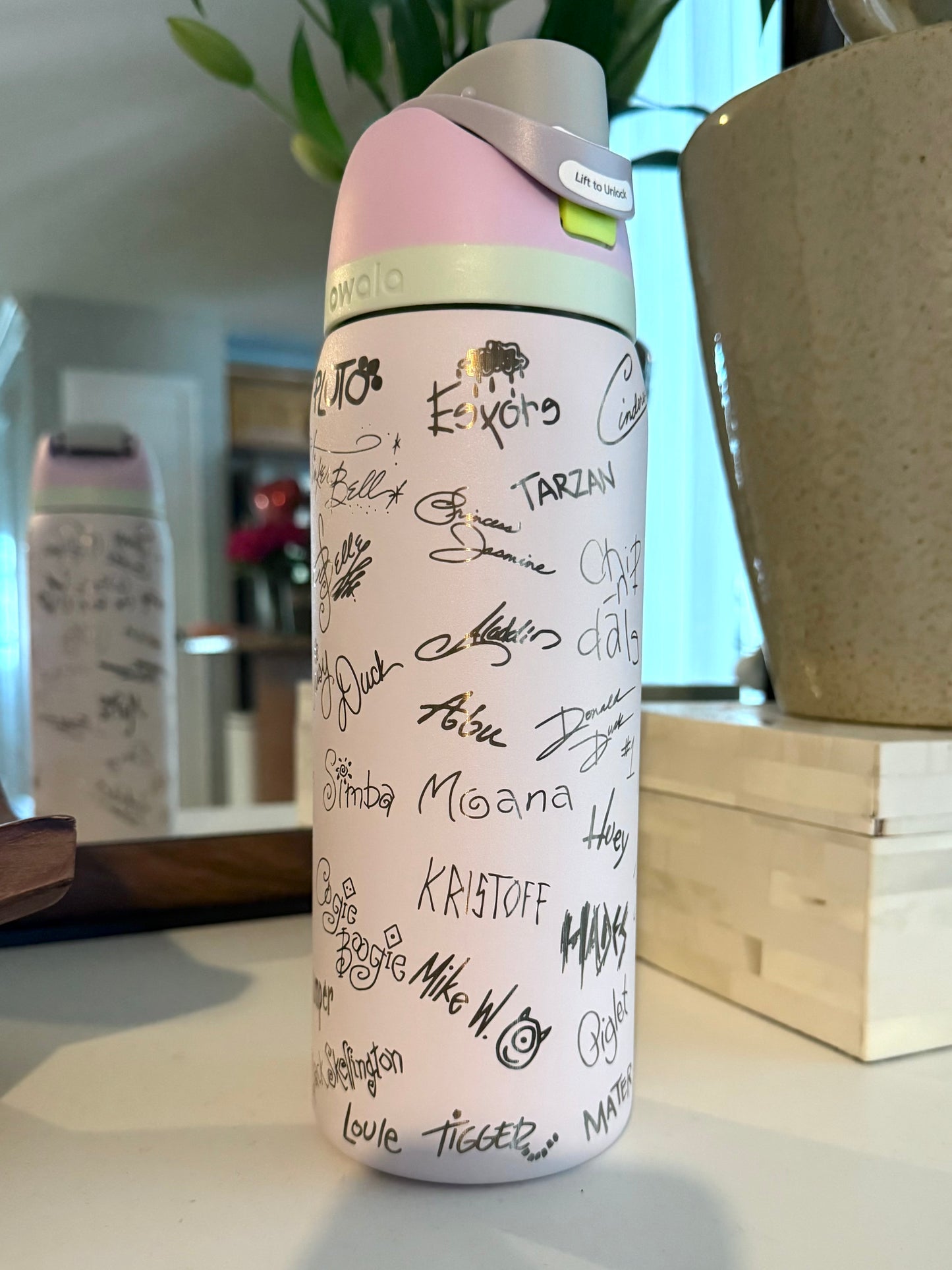 Disney Autographs All Pals Owala Engraved Free Sip