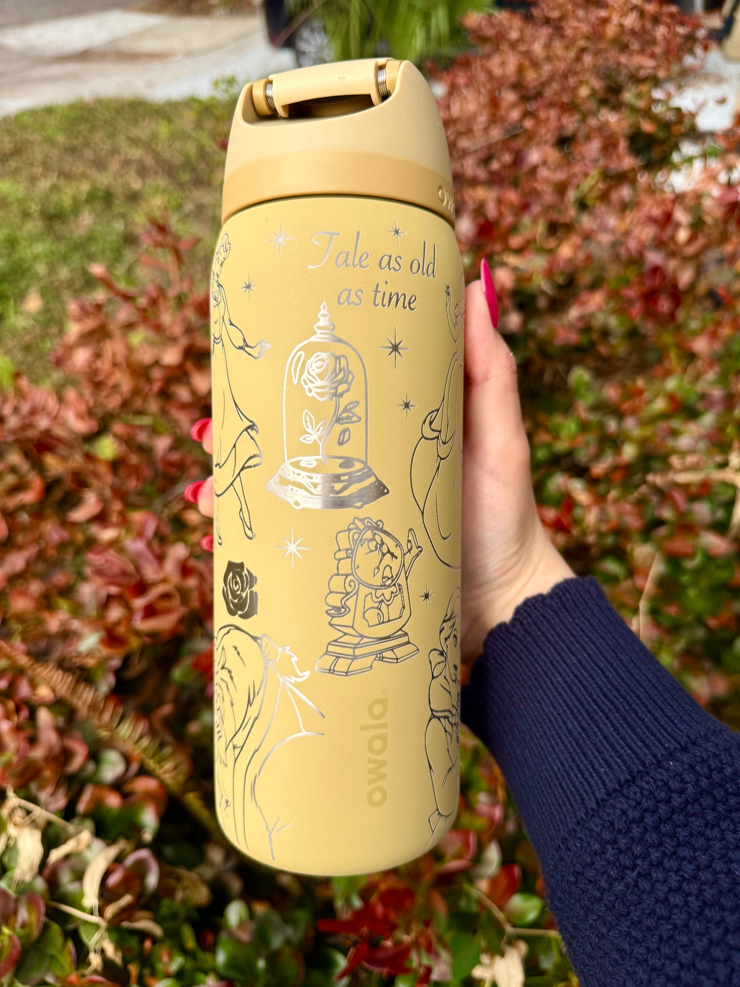Disney Belle Owala FreeSip 32oz Beauty and the Beast, Autumn Vista