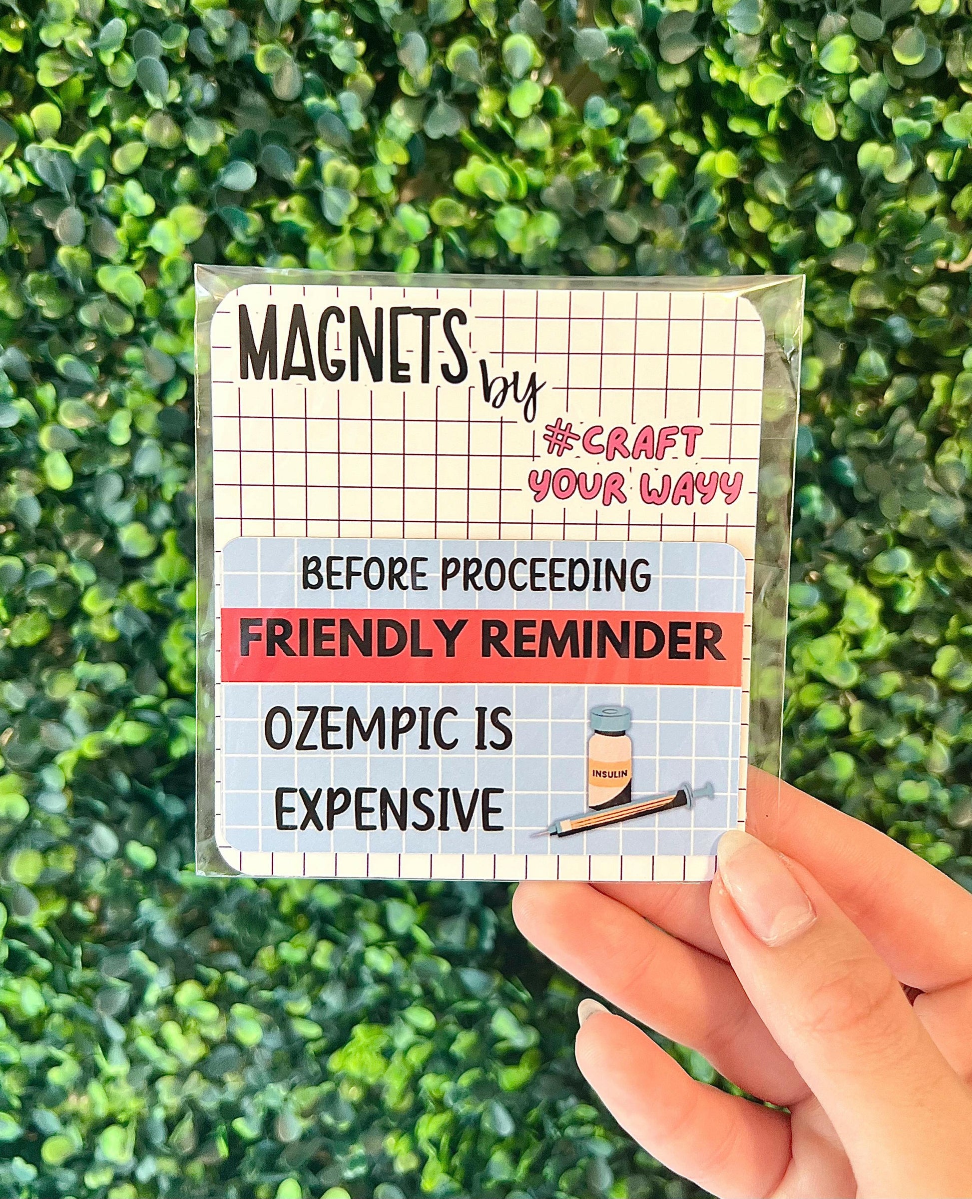Magnet Ozempic Weight Loss, Funny Magnets, Fridge Magnets, Sarcastic Gifts, Reminder Magnets, Dirty Santa gift