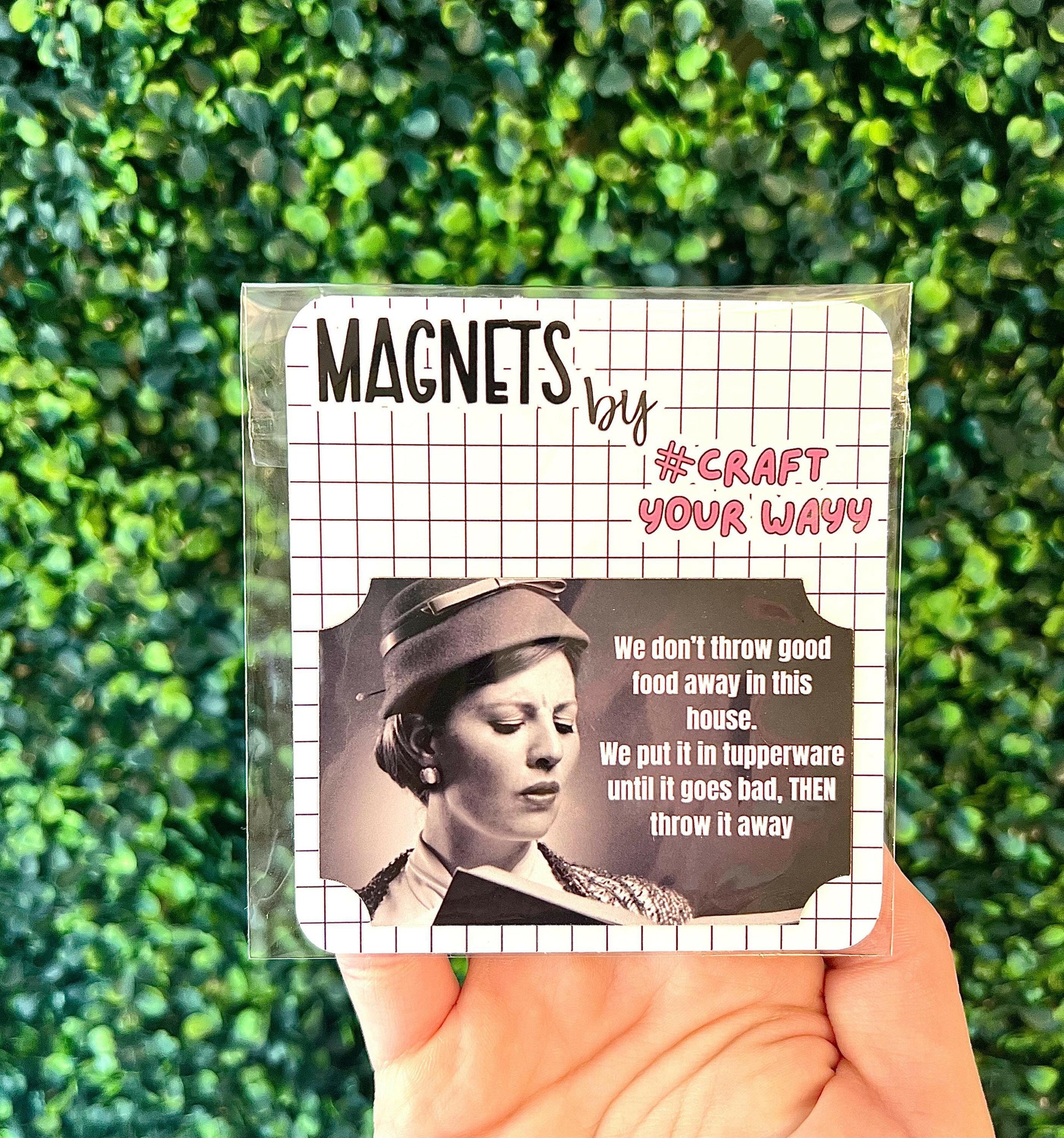 Magnet Funny Household Joke, Funny Fridge Magnets, Sarcastic Gifts, Reminder Magnets, Dirty Santa gift