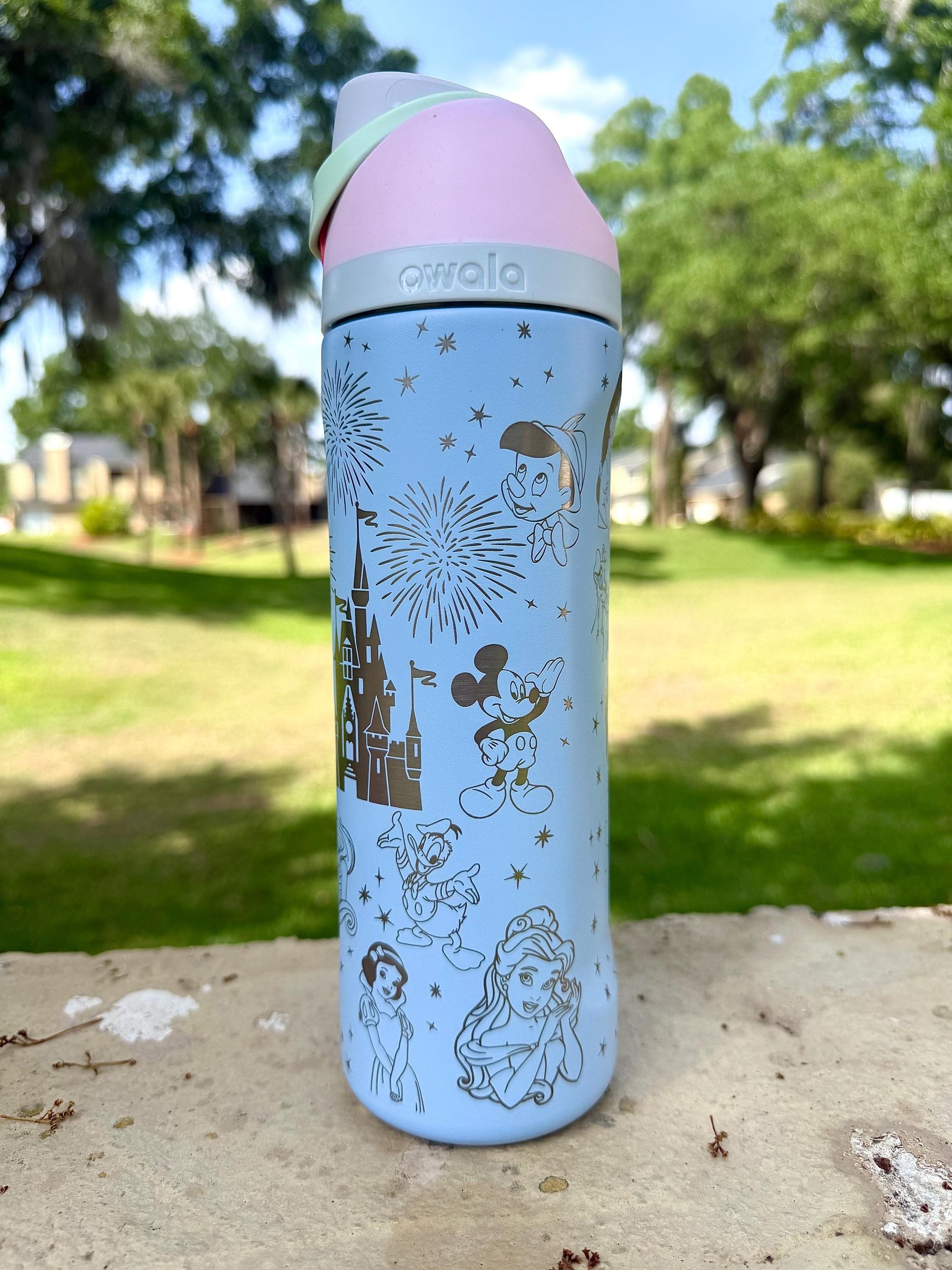 Custom Engraved Owala, Disney Castle Princess Movie Park Day, 24oz Free Sip, Engraved tumbler, Disney Cup Disney gift