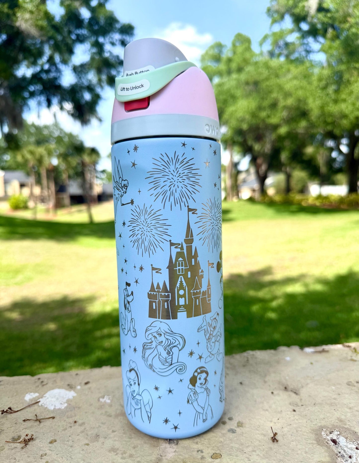 Custom Engraved Owala, Disney Castle Princess Movie Park Day, 24oz Free Sip, Engraved tumbler, Disney Cup Disney gift