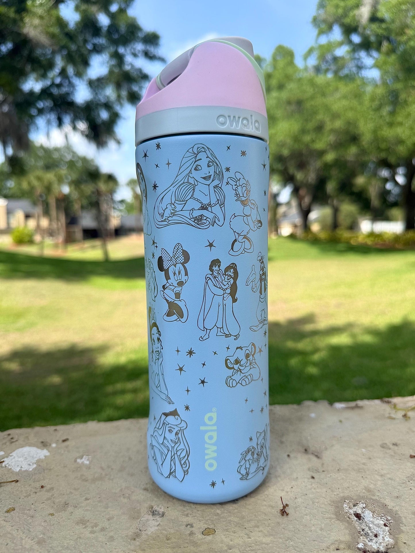 Custom Engraved Owala, Disney Castle Princess Movie Park Day, 24oz Free Sip, Engraved tumbler, Disney Cup Disney gift