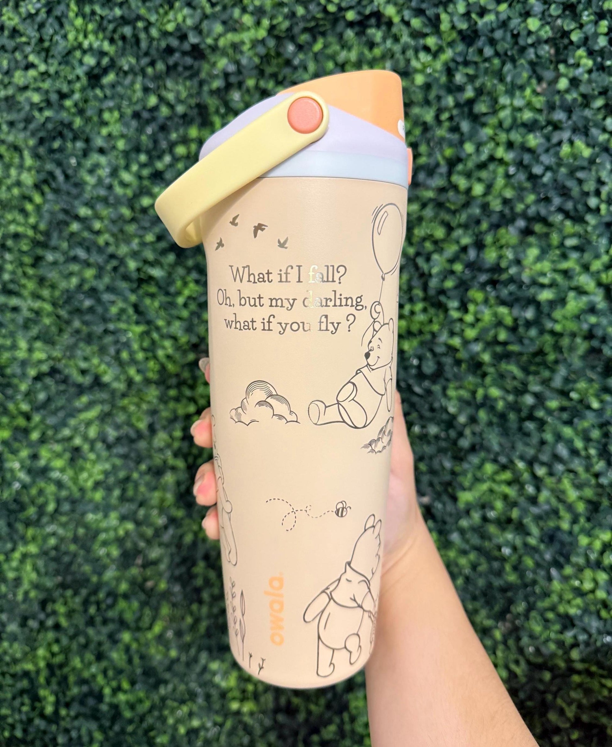 Custom Engraved Owala, Disney Winnie the Pooh, 30oz Free Sip Sway, Laser Engraved, Pooh bear Tumbler, Disney engraved gifts, Pooh & Friends