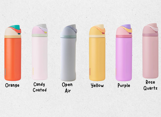 Princess Pick Your Design 24oz Owala Free Sip