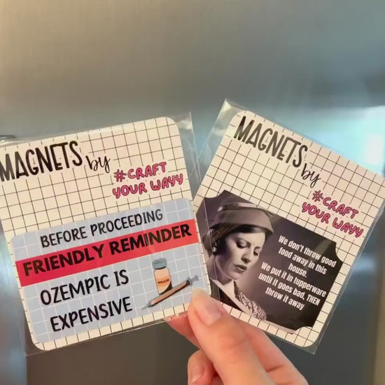Magnet Funny Household Joke, Funny Fridge Magnets, Sarcastic Gifts, Reminder Magnets, Dirty Santa gift